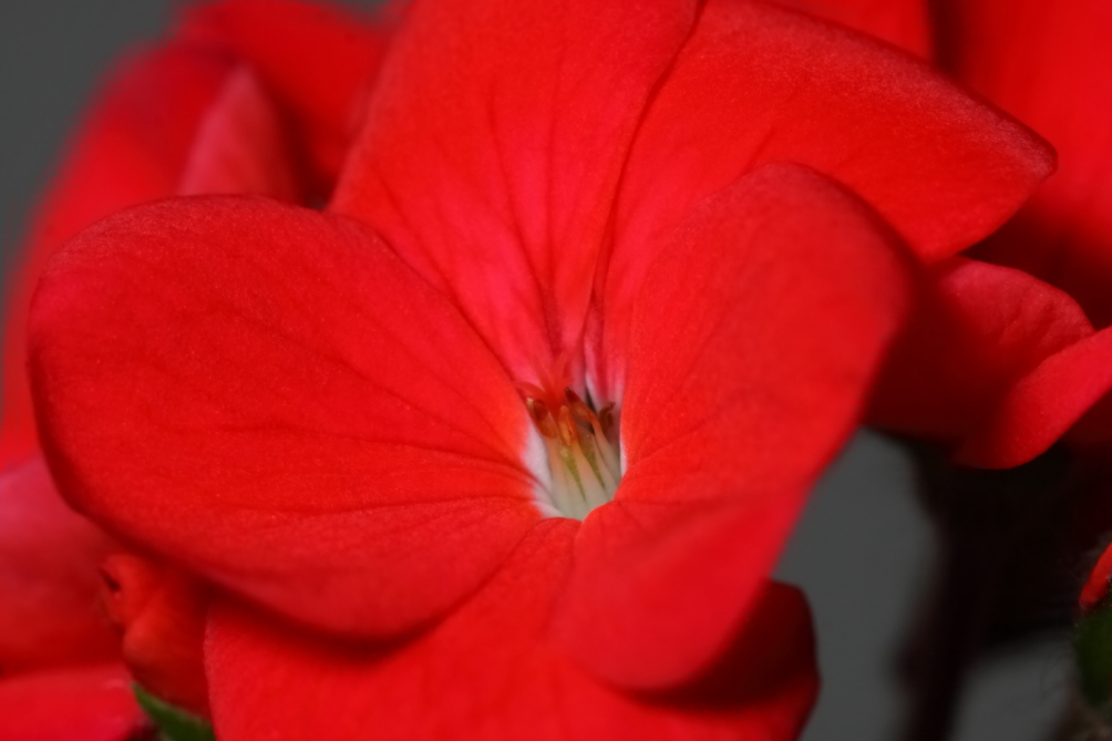 2012 03 12 9994